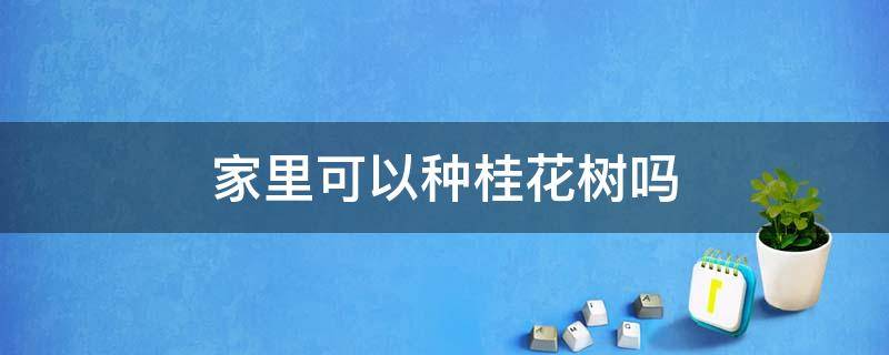 家里可以种桂花树吗（家里不能种桂花树吗）
