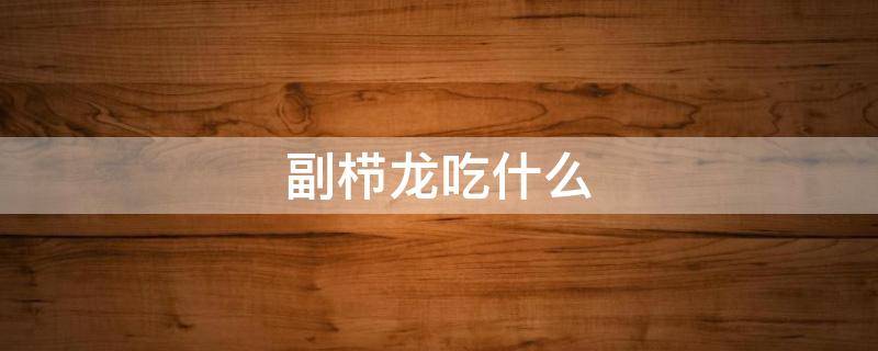 副栉龙吃什么（副栉龙吃什么食物）
