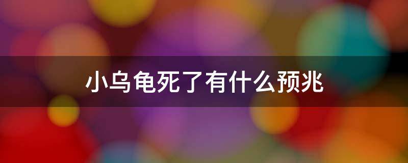 小乌龟死了有什么预兆（乌龟意外死了有什么预兆）
