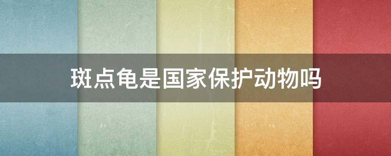 斑点龟是国家保护动物吗（星点龟是国家保护动物吗）