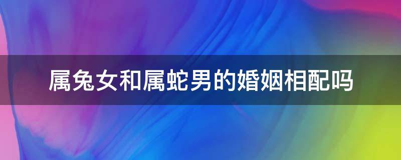 属兔女和属蛇男的婚姻相配吗（属兔女和属蛇男的相配吗,婚姻状况怎么样）