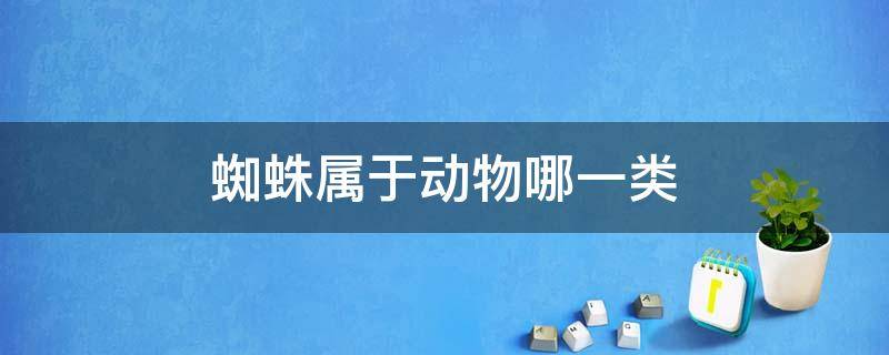 蜘蛛属于动物哪一类 蜘蛛属于什么类型的动物?