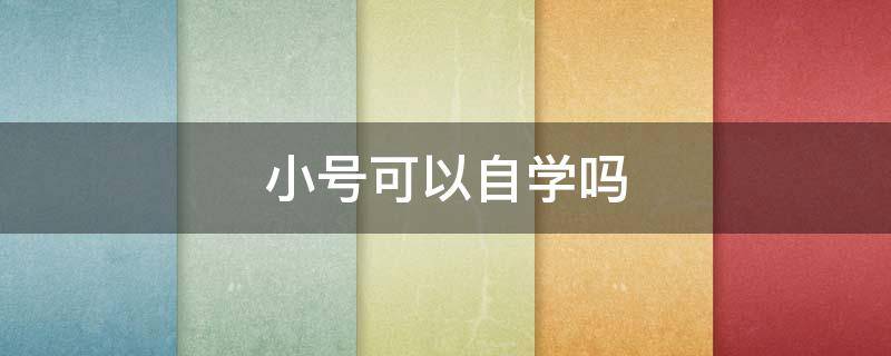 小号可以自学吗 自学小号难不难