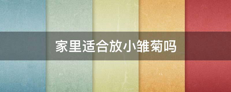 家里适合放小雏菊吗 小雏菊适合在家里摆放吗