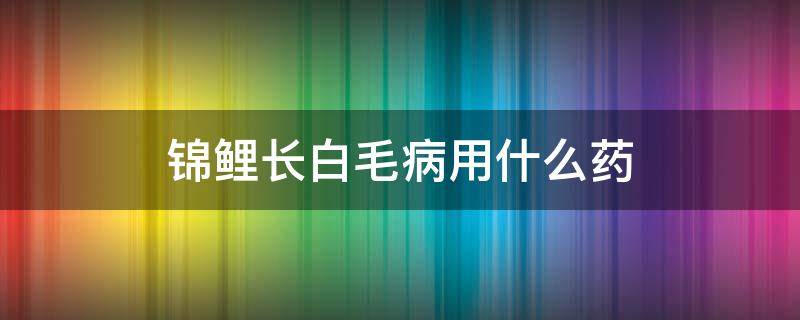 锦鲤长白毛病用什么药（锦鲤白毛白点病用什么药）