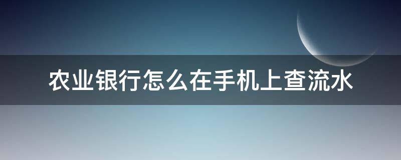 农业银行怎么在手机上查流水（农商银行怎么在手机上查流水）