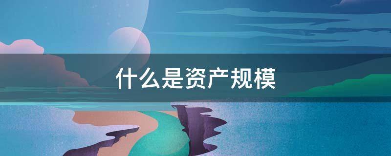 什么是资产规模（资产规模是指什么）