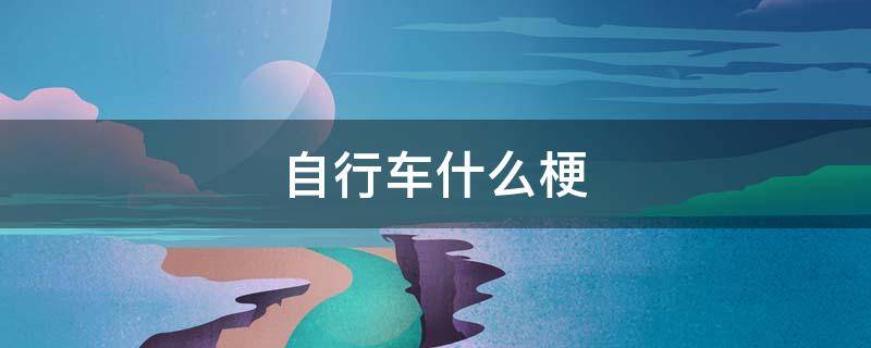 自行车什么梗 还买啥自行车什么梗