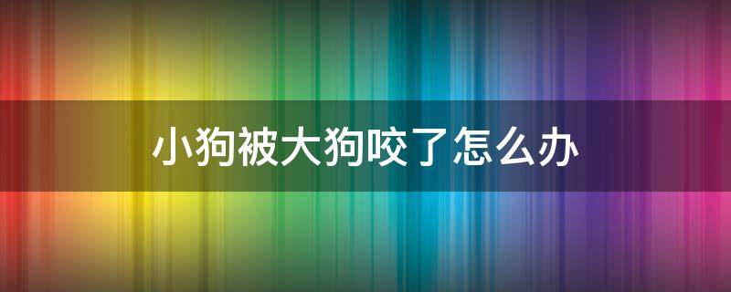 小狗被大狗咬了怎么办 小狗被大狗咬了怎么办?可没咬破