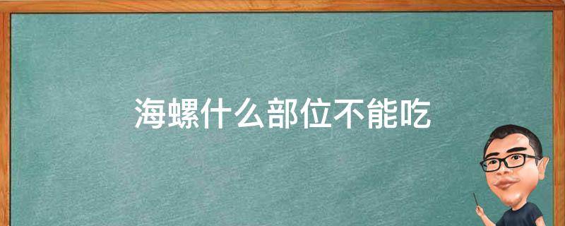 海螺什么部位不能吃（海螺什么部位不能吃图解）