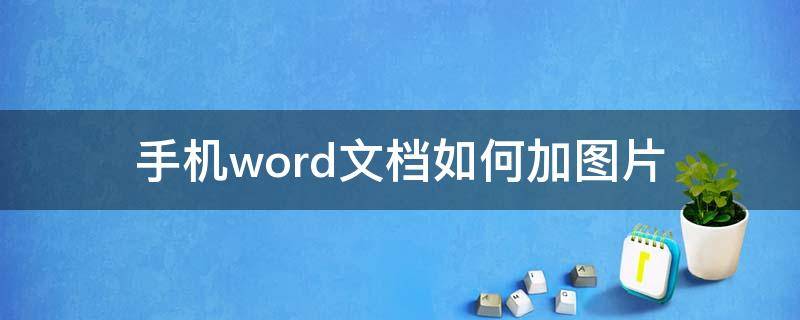 手机word文档如何加图片（手机word文档怎么加图片）