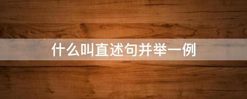 什么叫直述句并举一例（什么叫直述句?）