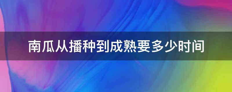 南瓜从播种到成熟要多少时间 南瓜成熟需要多少天
