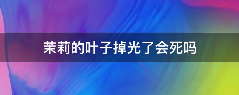 茉莉的叶子掉光了会死吗（茉莉的叶子都掉光了）