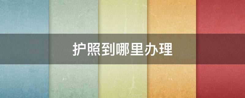 护照到哪里办理（护照到哪里办理签证）