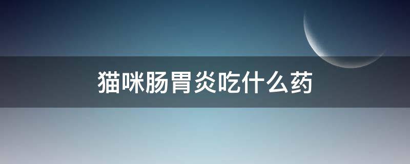 猫咪肠胃炎吃什么药 猫咪肠胃炎吃什么药效果最快