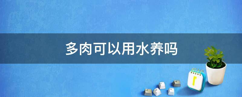 多肉可以用水养吗（多肉可以用水养吗视频）