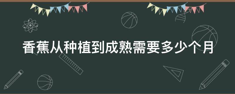 香蕉从种植到成熟需要多少个月（香蕉从种植到成熟需要多少个月时间）