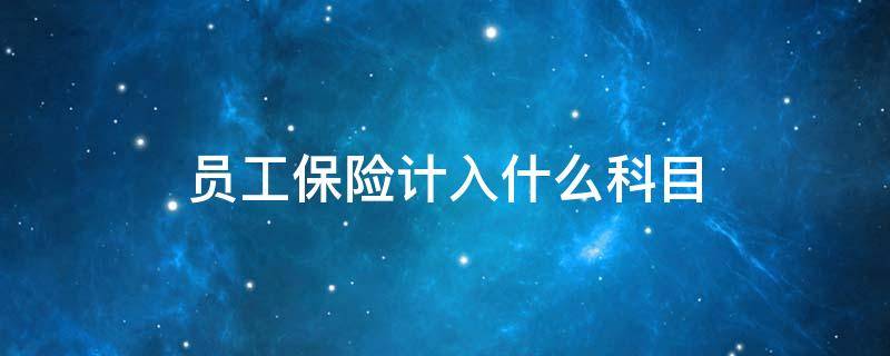 员工保险计入什么科目（员工个人保险做什么科目）
