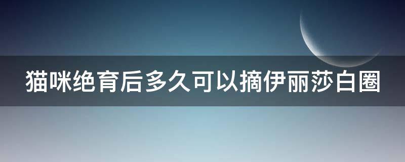 猫咪绝育后多久可以摘伊丽莎白圈 绝育的公猫丁丁出来了