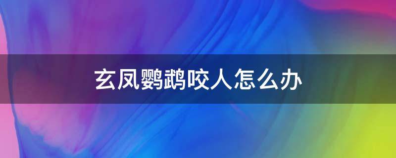 玄凤鹦鹉咬人怎么办 笼养玄凤鹦鹉咬人怎么办