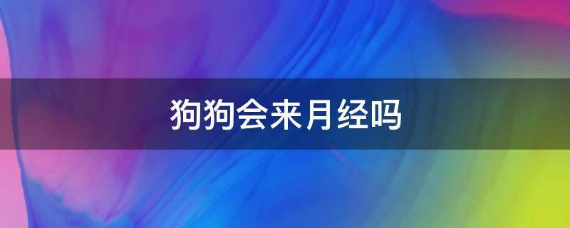 狗狗会来月经吗 狗狗会来月经吗?多久一次?需要注意什么?