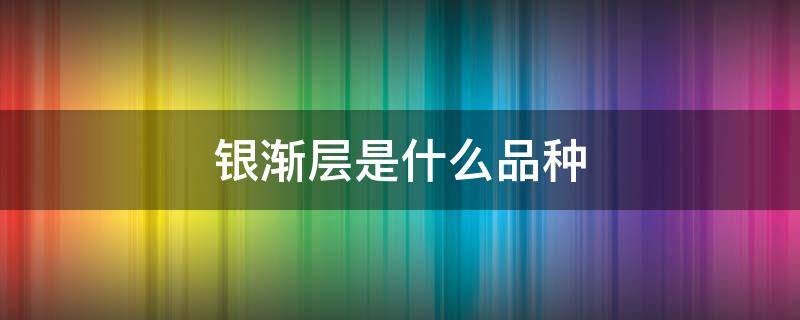 银渐层是什么品种（金渐层银渐层是什么品种）