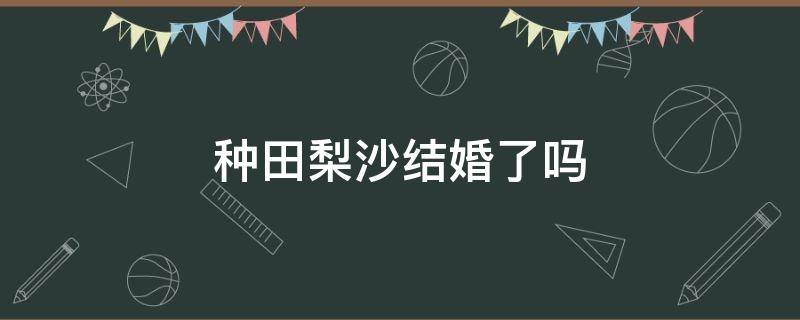 种田梨沙结婚了吗（种田梨沙为什么不继续配）