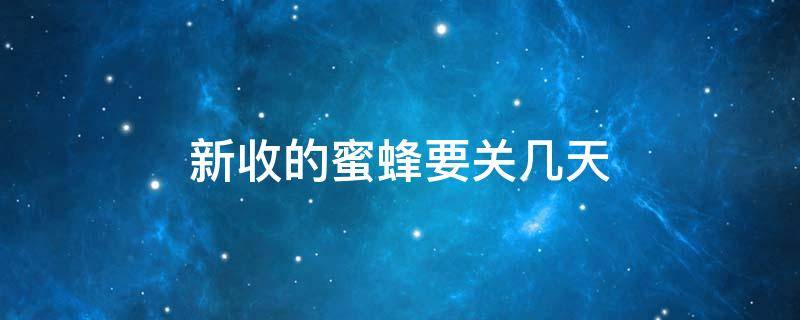 新收的蜜蜂要关几天（新收的蜜蜂要喂养几天）