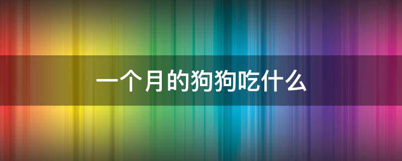 一个月的狗狗吃什么（一个月的狗狗吃什么狗粮好）