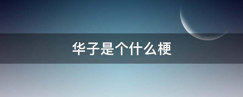 华子是个什么梗 华子是什么梗