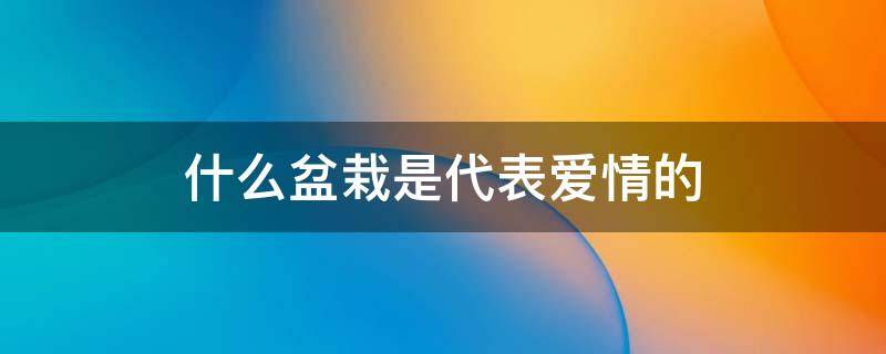 什么盆栽是代表爱情的（爱情的盆景）