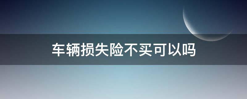 车辆损失险不买可以吗（车险车辆损失险可以不买吗）