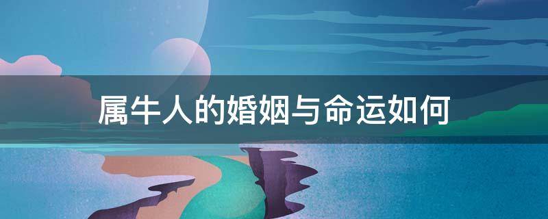 属牛人的婚姻与命运如何（属牛人的命运 婚姻 一生概况）