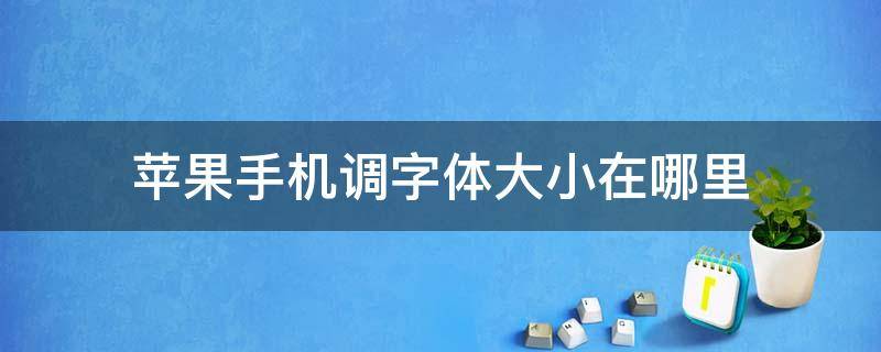 苹果手机调字体大小在哪里（苹果手机调字体大小在哪里如何修改苹果手机数字密码）