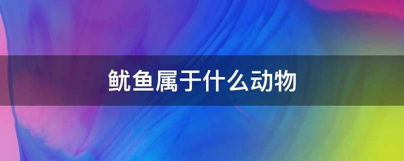 鱿鱼属于什么动物 鱿鱼属于什么动物类群