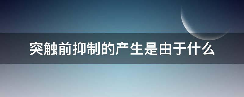 突触前抑制的产生是由于什么（突触前抑制产生的原因是）