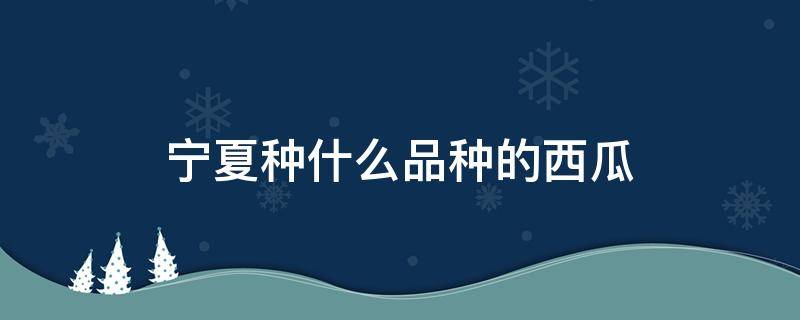 宁夏种什么品种的西瓜 宁夏种的西瓜都有啥品种