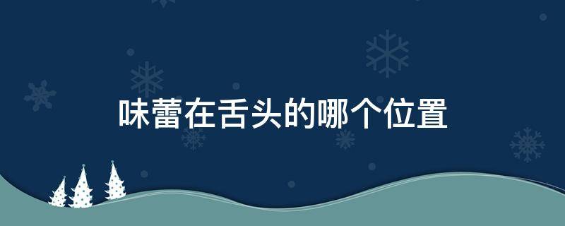 味蕾在舌头的哪个位置 辣味味蕾在舌头的哪个位置