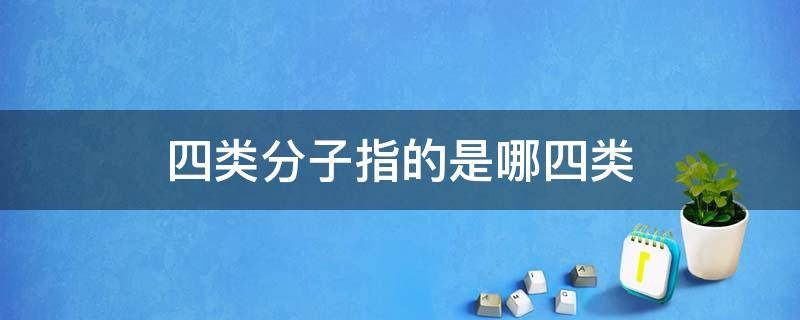 四类分子指的是哪四类 四类分子指的是哪四类?