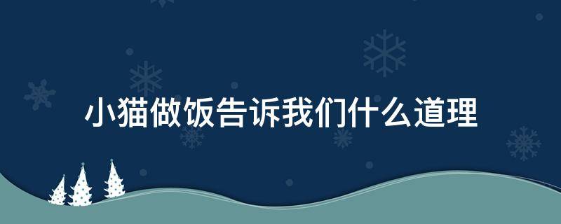 小猫做饭告诉我们什么道理（小猫做饭我懂得了什么道理）