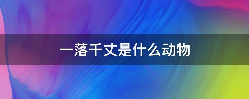 一落千丈是什么动物 一落千丈指什么动物的生肖