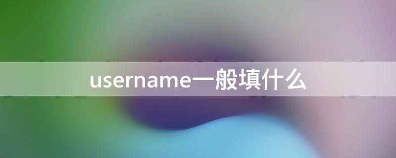 username一般填什么 username是啥