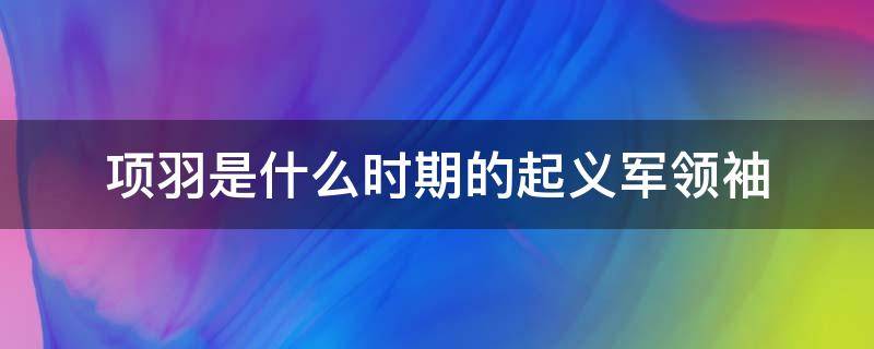 项羽是什么时期的起义军领袖（项羽是什么的起义军首领）