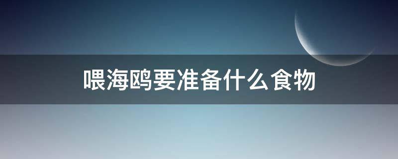 喂海鸥要准备什么食物 喂海鸥用什么食物