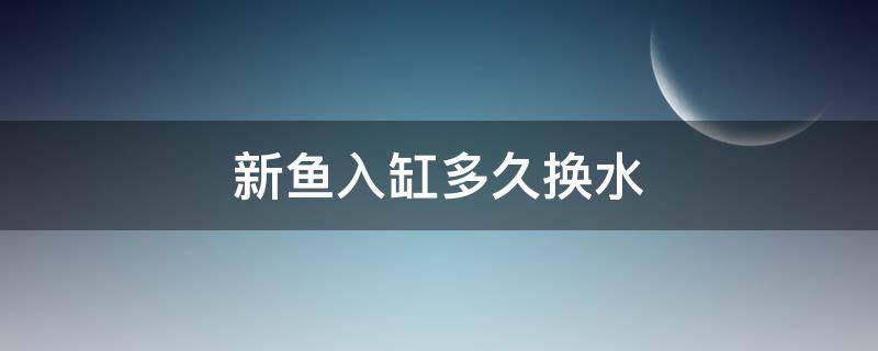 新鱼入缸多久换水（新鱼入缸多久换水?）