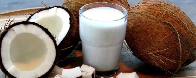 椰浆怎么调椰奶（椰浆可以调成椰奶吗）