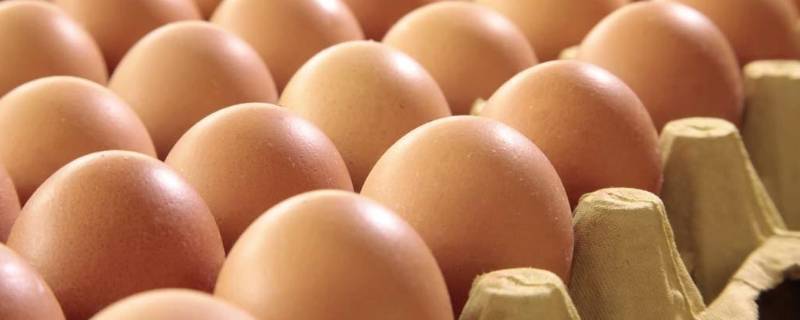 立鸡蛋是生的还是熟的 鸡蛋生的和熟的哪个能立起来