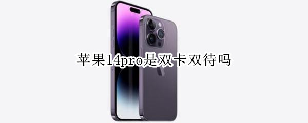 苹果14pro是双卡双待吗 苹果12pro都是双卡双待吗