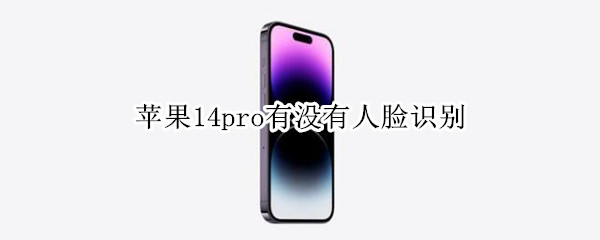 苹果14pro有没有人脸识别（iphone12pro max有人脸识别吗）